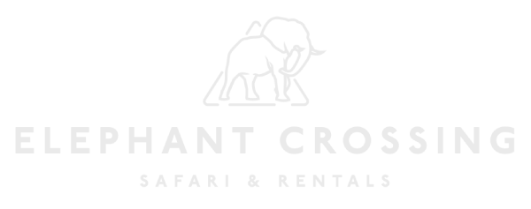 Elephant Crossing Safari & Rentals