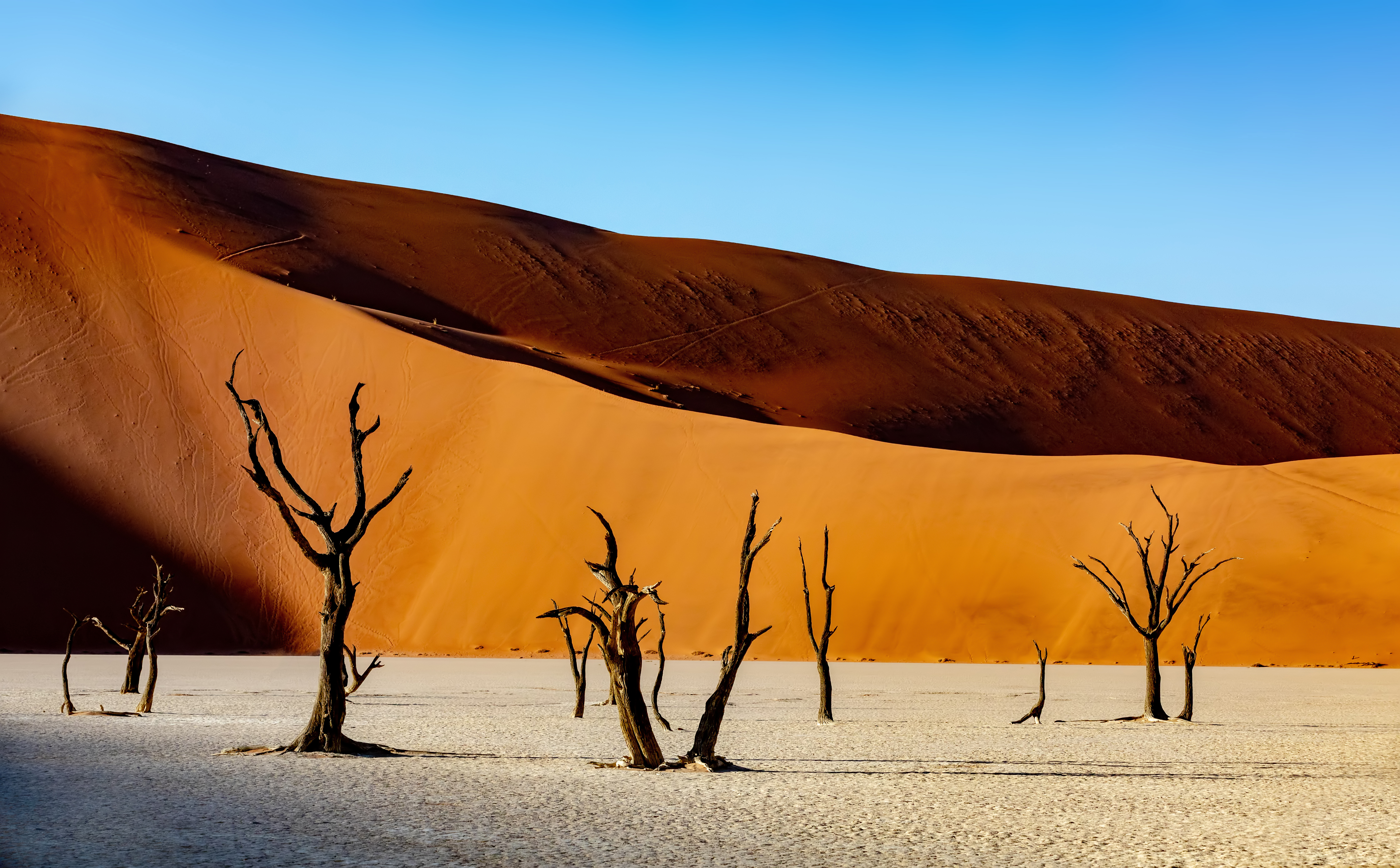 Sossusvlei & Swakopmund Explorer